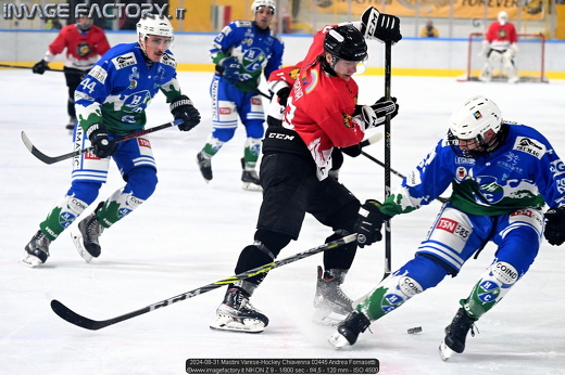 2024-08-31 Mastini Varese-Hockey Chiavenna 02445 Andrea Fornasetti